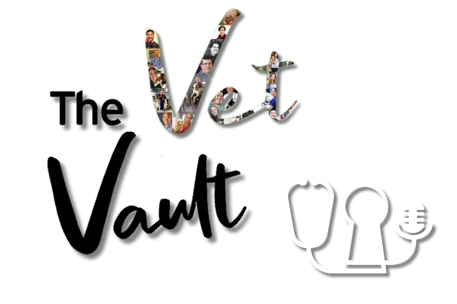 The Vet Vault
